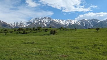 La Réserve Naturelle d’Aksu-Zhabagyly (Kazakhstan Méridional)
