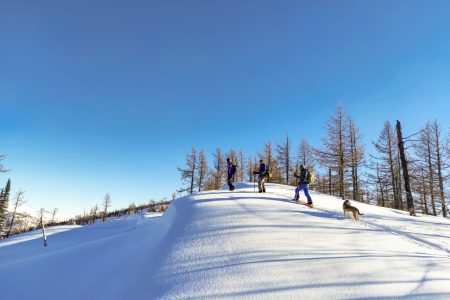 FREERIDE AU KAZAKHSTAN : L’ALTAÏ KAZAKH EN SKI DE RANDONNÉE ET SPLITBOARD