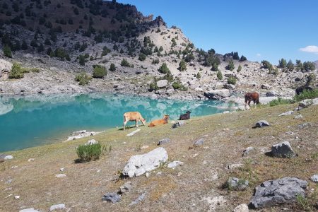 TREK AU TADJIKISTAN : LACS TURQUOISE DES MONTS FANN